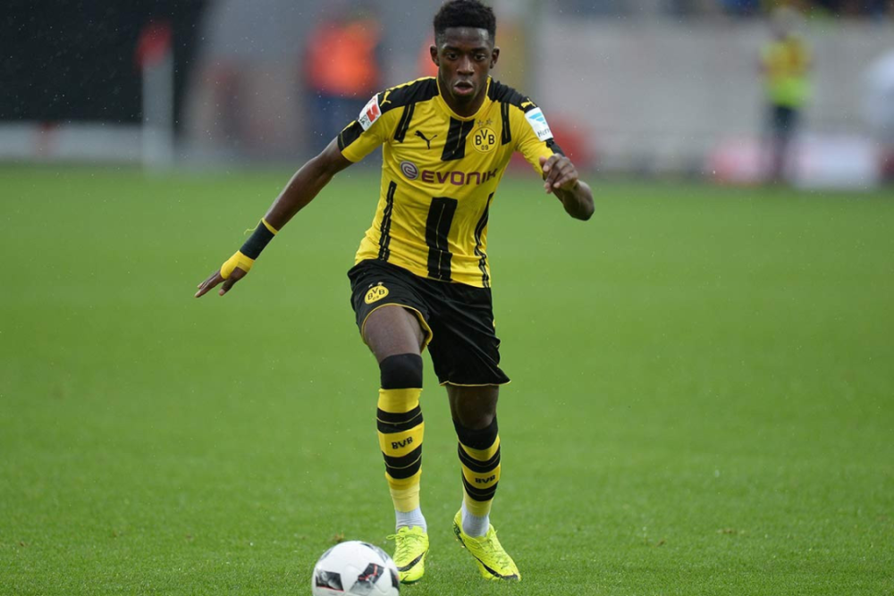 适应与心理 适应与心理